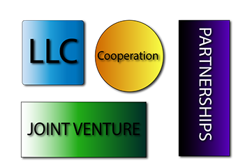 LLC Cooperation Partnerships Joint Venture